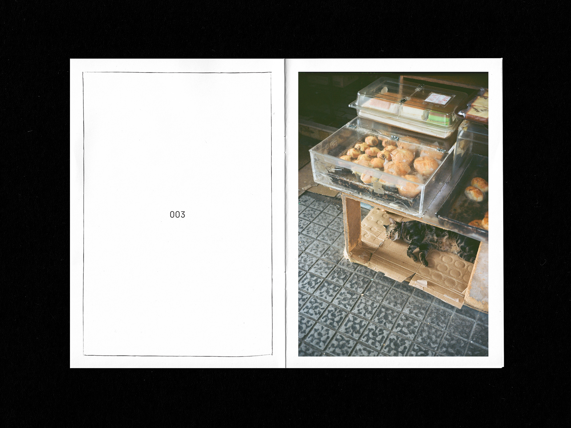 Spreads of zine: cat napping on cardboard paper under bakery shelf