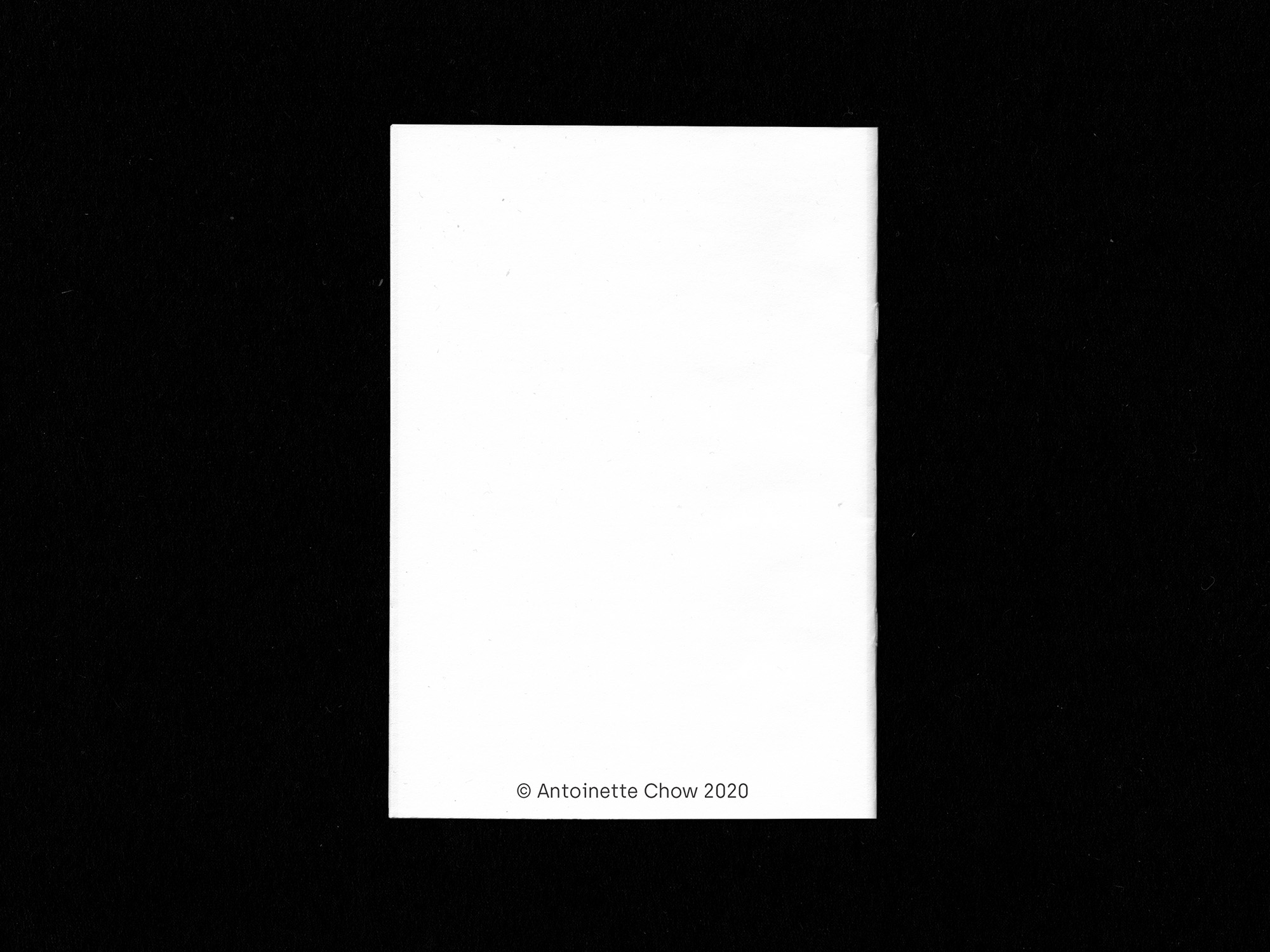 Back of zine. Reads: Copyrighted Antoinette Chow 2020